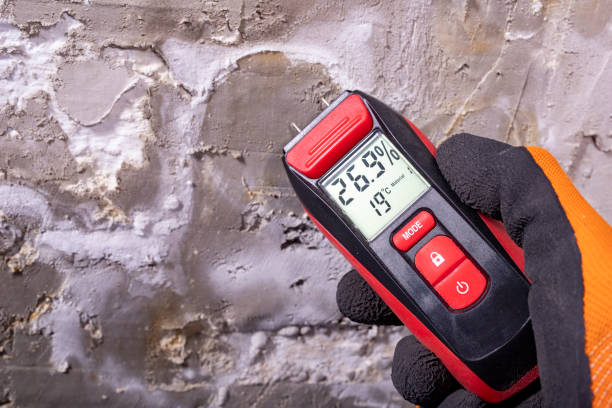 Attic Mold Removal in Cold Spring, KY